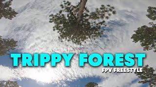 Trippy Forest | FPV