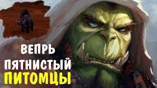 Пятнистый вепрь World of Warcraft