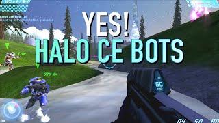 Enjoy Classic Halo Maps In Halo: CE Bot Bootcamp