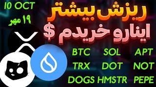 فوریاین ارزها رو خریدمریزش بیشتر همستر |کتز| ناتکوین|داگز| بیت کوین