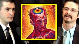 What is a DMT trip like and who are the entities you meet? | Matthew Johnson and Lex Fridman