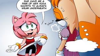 Vanilla's Concern for Amy (Sonic Comic Dub)