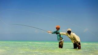 Gettin' Salty With Will Johnson | Ashland Fly Shop