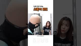 1년째 적응 안 되는 시쪽이 모드  #qwer #시요밍 #이시연
