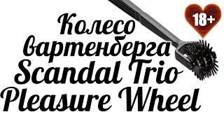 18+ Видеообзор на колесо вартенберга Scandal Trio Pleasure Wheel