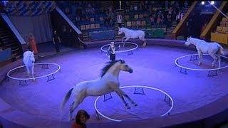 Free Horses Elena Pavlovich Moscow Circus, Елена Павлович Свобода лошадей