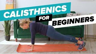 12 Calisthenics Exercises for Everyone