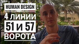 Дизайн Человека 51.4 и 57.4 ворота. Обзор транзитов. Даниил Трофимов. Human Design