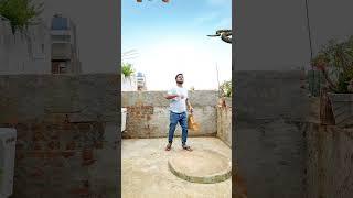 Funny vfx catching animal new magic | Kinemaster editing | Ayan mechanic