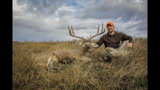 Big Bear Outdoors- Super WIDE South Dakota Mule Deer