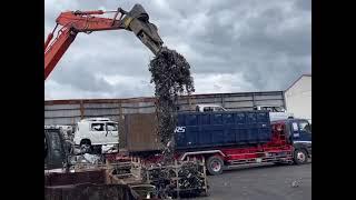 Used cars, Engines and spare parts #automotive #oldcars #junkcars #junkyard #scrap #youtubeshorts