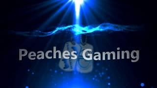 New Sony Vegas Pro 13 Gamer Intro - Peaches Gaming