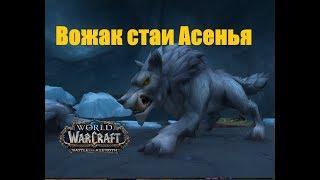 World of Warcraft. Локальное задание - Вожак стаи Асенья