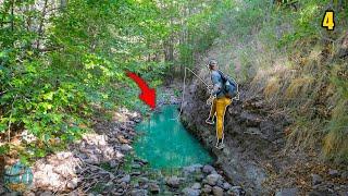 Catching one of America's Rarest Trout out of a PUDDLE? (Fly Fishing for Gila Trout Pt 1)