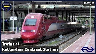 Trains at Rotterdam Centraal Station | 25/07/23