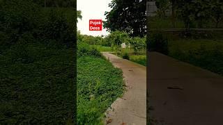 kondisi jalan di pojok desa Sragen #jawatengah #jalan #sragen #viral