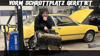 Schätzchen vom Schrottplatz gerettet! | Ist der Motor noch brauchbar?! | Tolle Neuigkeiten !!!|