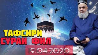 ХОЧИ МИРЗО ТАФСИРИ СУРАИ ФИЛ 19.04.2020. САПТИ НАВ БЕХТАРИН КИСАХО.