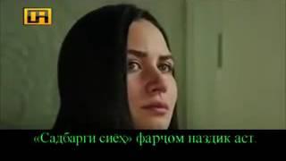 садбарги сиех кисми 139