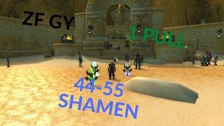 WoW Classic - 44-55 Shamen 1 PULL ZF TUTORIAL