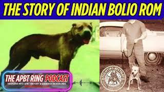 Patrick’s Indian Bolio ROM BIS (1xW) – The Game Dog That Shaped APBT History