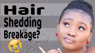 Hair Breakage vs Hair Shedding | Natural Hair Care | Tsholo Phoka