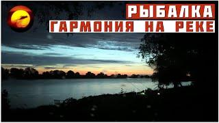 ЗАБРОСИЛ СНАСТИ И РЫБАЛКА НАЧАЛАСЬ / ГАРМОНИЯ НА РЕКЕ В АСТРАХАНИ