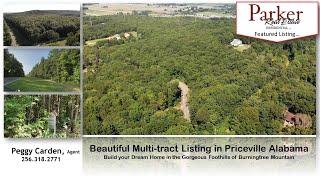 Willowbend and Marsha Ave Properties in Priceville Alabama