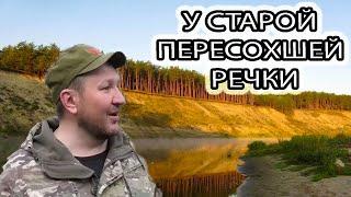 КОП В ЛЕСУ У СТАРОЙ ПЕРЕСОХШЕЙ РЕЧКИ.