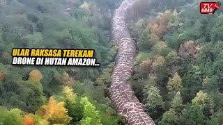 Viral Pilot Drone Rekam Ular Raksasa Sepanjang 60 Meter Muncul di Lembah Amazon, Hebohkan Dunia...