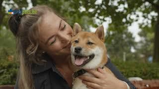 Commercial Medpets.be - Voor de gezondheid van uw dier