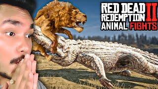 RDR2 Animal Fights Are INSANE  ( REACTION )