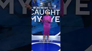 Carmen Blackwell appears in "America's Sweethearts"