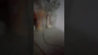 Пранк над дчдей Женей не вышел а он вышел на мной