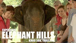 The Elephant Hills Experience - travelguru.tv