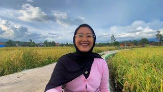 DI SOLAWATIN NENG NAZMI JANDA DESA CANTIK SEDERHANA DI PINGGIR SAWAH BIKIN ADEM