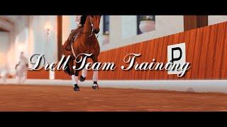 Aesthetics of Drell Team training┊Freedom Hearts┊Ukrainian Star Stable Club┊Star Stable Online