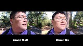 Canon M50 vs Canon M5 Video Test