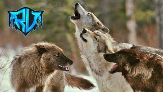 KURT SAVAŞI!! | Ark Youtuber Savaşları #14