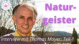 Interview mit Thomas Mayer - Teil 1: Naturgeister