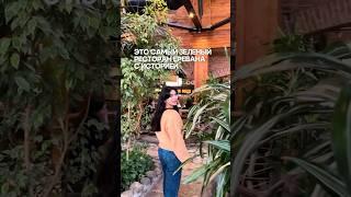 Зеленый ресторан в замке с большой историей Ginetun  #armenia #армения #yerevan #ереван
