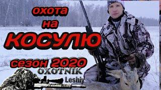 Загонная охота на косулю. Сезон 2020!