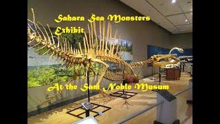 Museum Exhibit: Sahara Sea Monsters