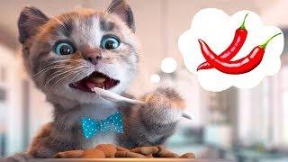 Little Kitten Preschool Adventure Educational Games -Play Fun Cute Kitten Pet Care Learning Gameplay