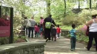 The New York Botanical Garden: A Hidden Oasis
