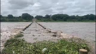 Croc Bridge