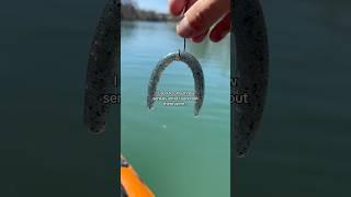 Other ways to SCORE! #fishing #shorts