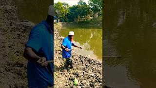 Amazing Fishing video part -856 #fishing #video #viral #Amazing #tranding #fish #foryou
