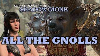 Solo Shadow Monk - Gnolls Ahead! - Honour Mode