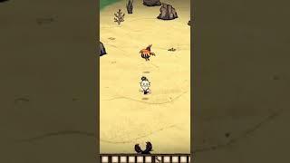 Как получить ОГНЕННОГО ПАКИМА в Don't Starve #dontstarve #shipwrecked #гайд #shorts #youtubeshorts